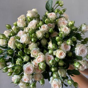 Кремовая кустовая роза