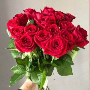 Роза Red Naomi