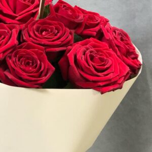 Рубиновое сияние (2) Рубиновое сияние